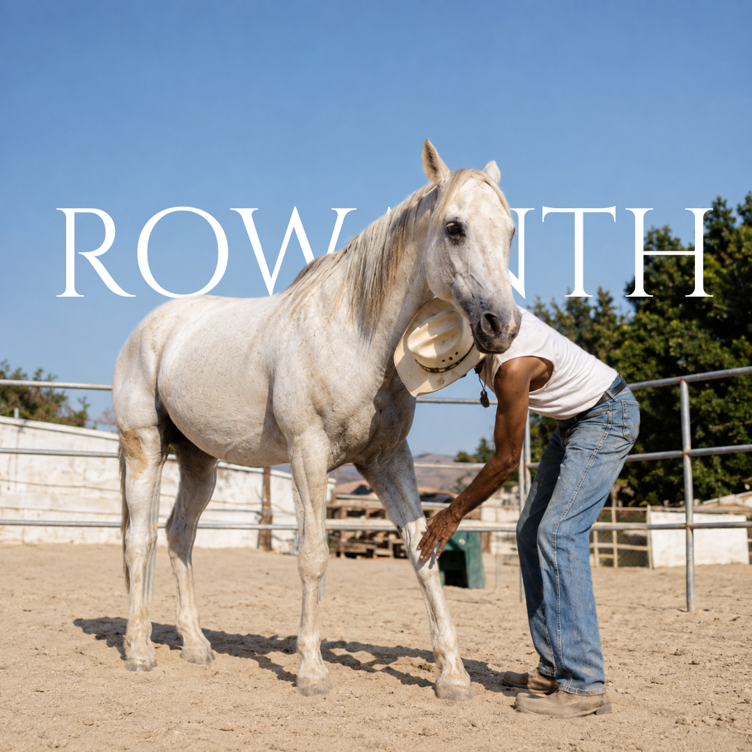 La signature Rowanth