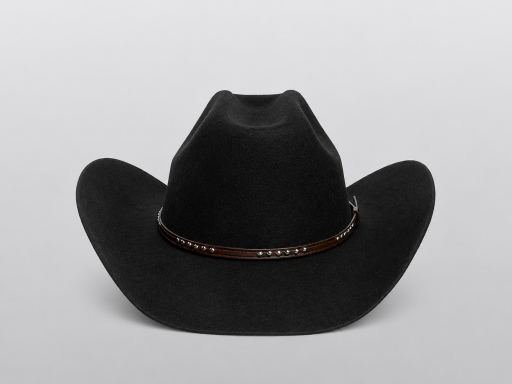 RANGO Chapeau Cowboy Fedora