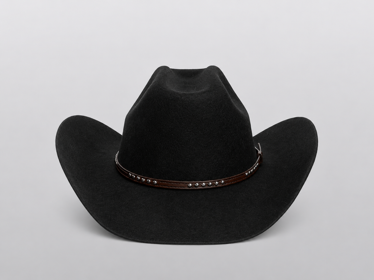 RANGO Chapeau Cowboy Fedora