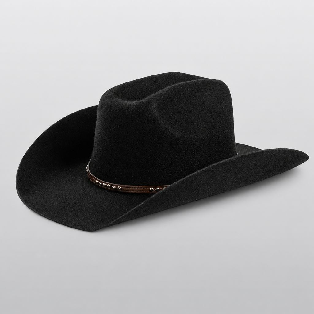 Chapeau fedora cowboy en feutre de laine noir RANGO, large bord vintage