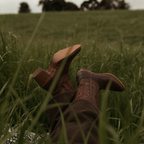 Bottes Western Hommes Mi-Mollet Talon Bas ABILENE