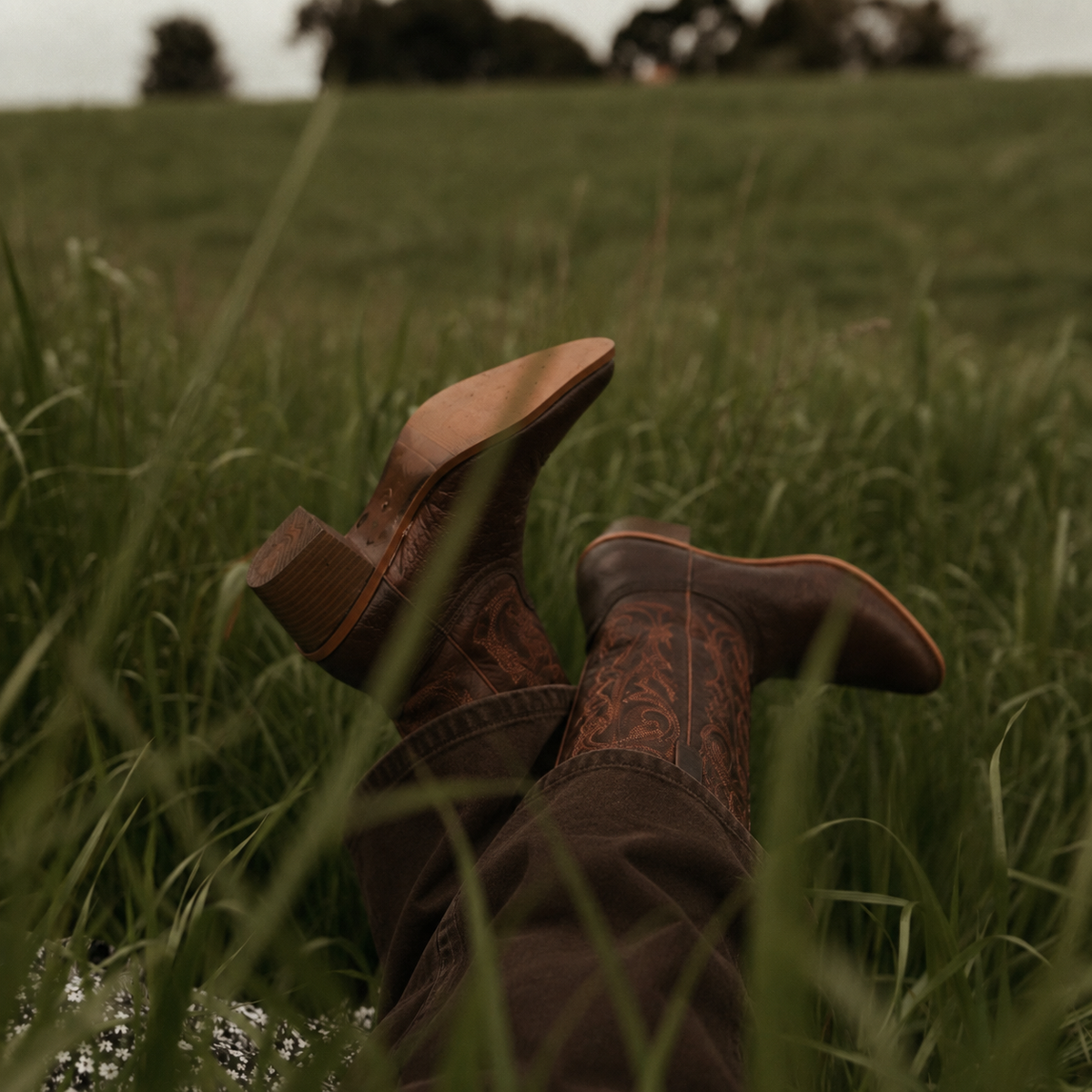 Bottes Western Hommes Mi-Mollet Talon Bas ABILENE