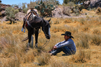 Chapeau Cowboy Western Vintage DAKOTA
