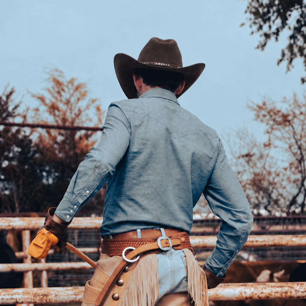 Chapeau Cowboy Western en Laine Feutre MONTANA